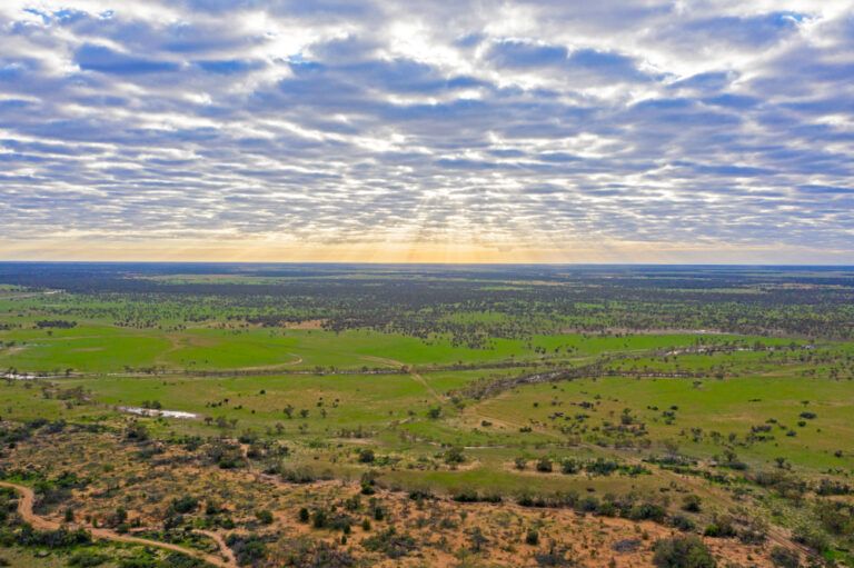 Landscape,Near,Cunnamulla,,Queensland,,Australia.