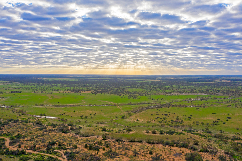 Landscape,Near,Cunnamulla,,Queensland,,Australia.