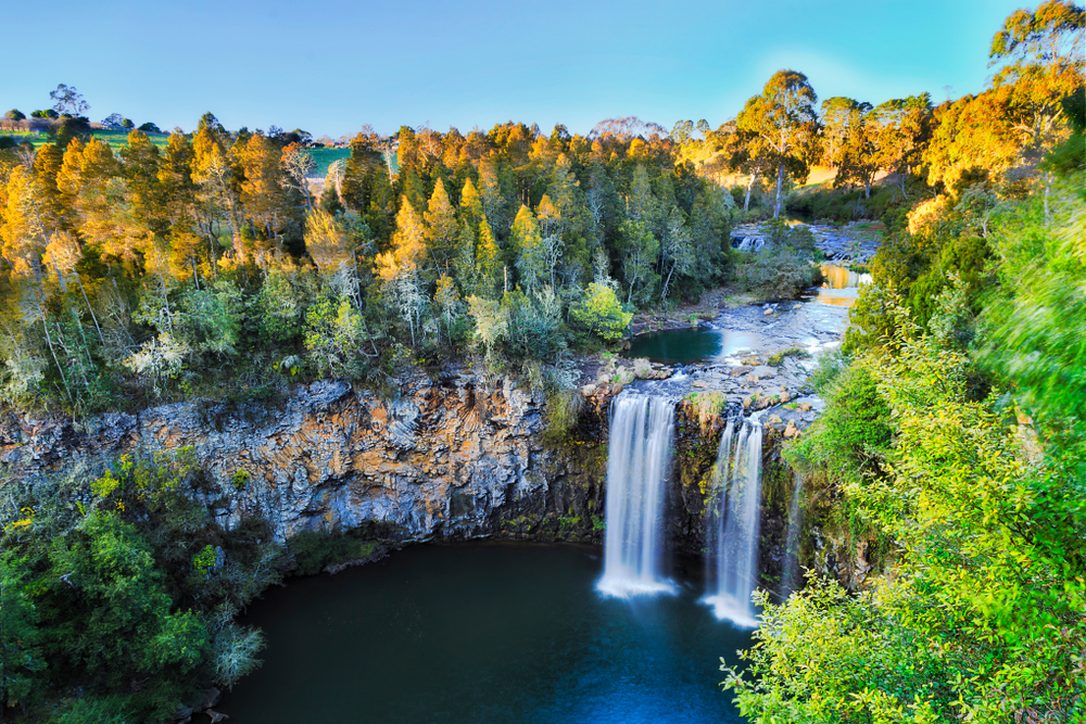 Elevated,View,Over,Dangar,Falls,In,Dorrigo,National,Park,Near