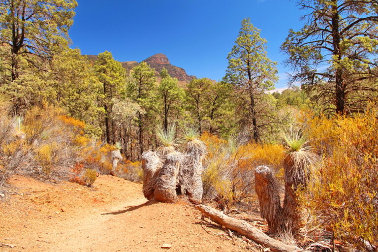 Australian,Outback,And,Flinders,Ranges
