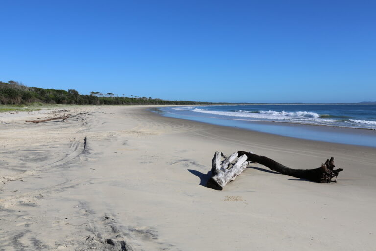 Driftwood,On,The,Beach,At,Iluka,Near,Ten,Mile,National