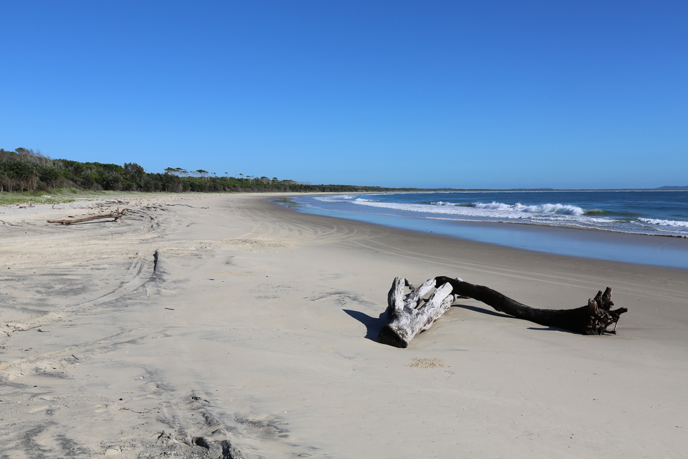 Driftwood,On,The,Beach,At,Iluka,Near,Ten,Mile,National