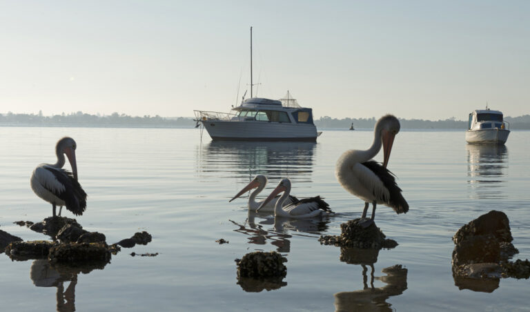 Wangi,Wangi,On,Lake,Macquarie,Nsw.,Australia.