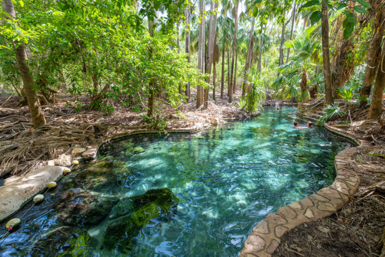 Mataranka,,Northern,Territory,-,March,13,,2020,:,People,Swimming