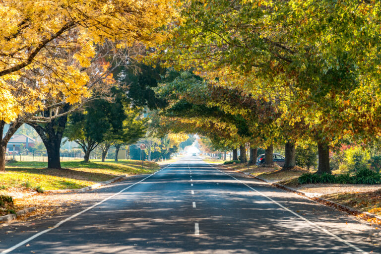 Autumn,Colours,In,Porepunkah,,Victoria,,Australia
