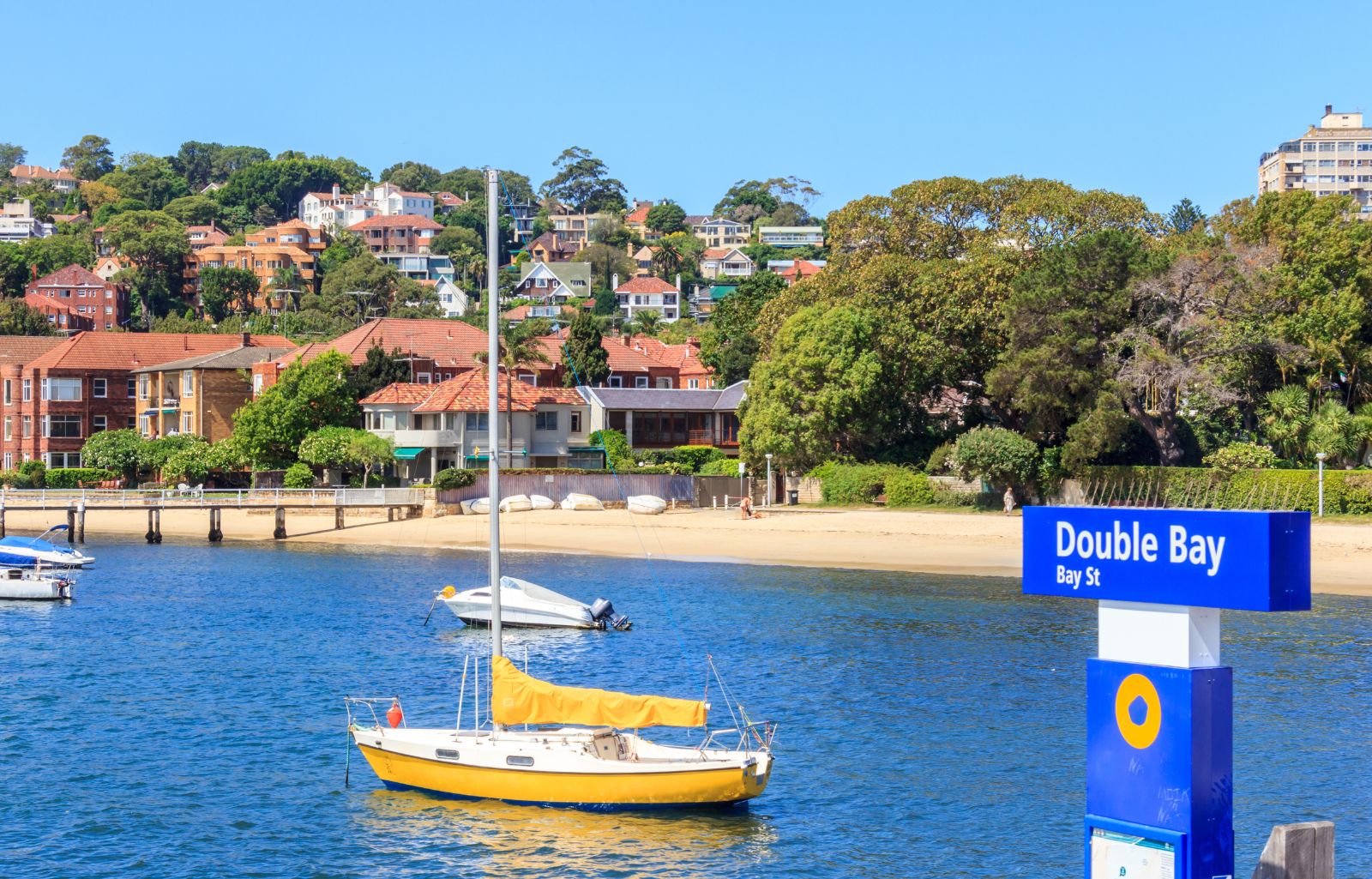 get amongst it in double bay