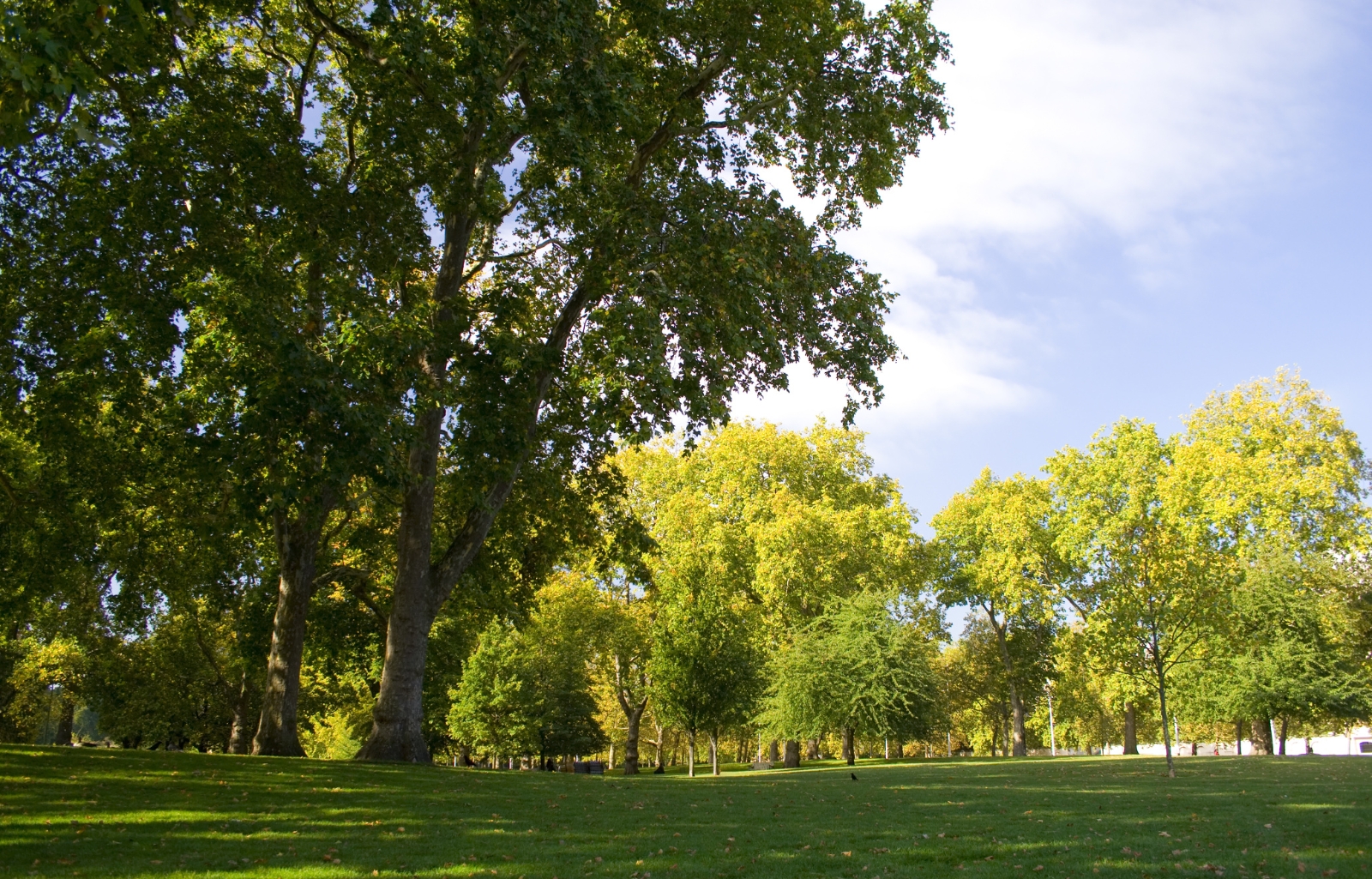 Tranquility of Kojonup's Parks and Reserves tranquility of kojonup's parks and reserves